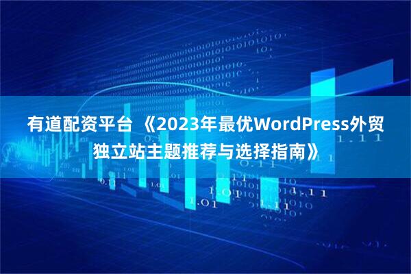 有道配资平台 《2023年最优WordPress外贸独立站主题推荐与选择指南》