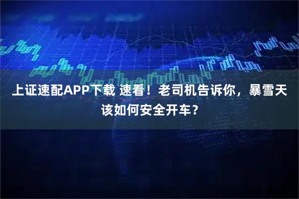 上证速配APP下载 速看!老司机告诉你,暴雪天该如何安全开车?