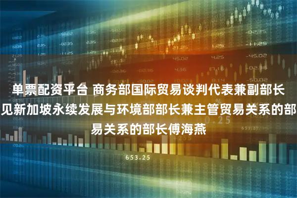 单票配资平台 商务部国际贸易谈判代表兼副部长李成钢会见新加坡永续发展与环境部部长兼主管贸易关系的部长傅海燕